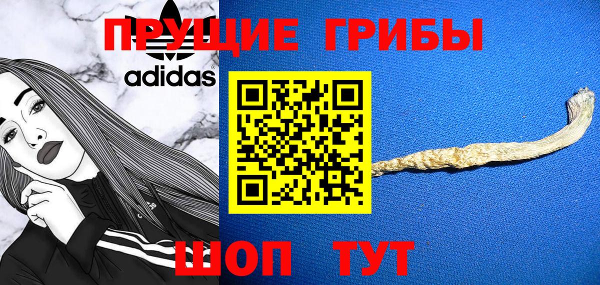 Темрюк  Псилоцибиновые грибы Cubensis  Вход с VPN 