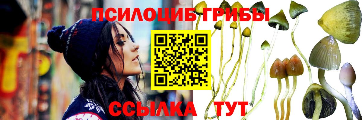 Псилоцибиновые грибы MAGIC MUSHROOMS Темрюк